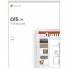 Microsoft Office 2019 Professional Windows