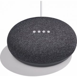 Google Nest Home mini